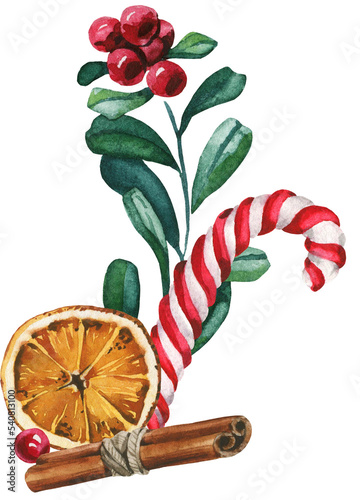 Isolated Christmas arrangement. Cranberry branch, candy cane, dried orange and cinnamon. Cut out hand drawn PNG illustration on transparent background. Water colour clipart drawing. photo