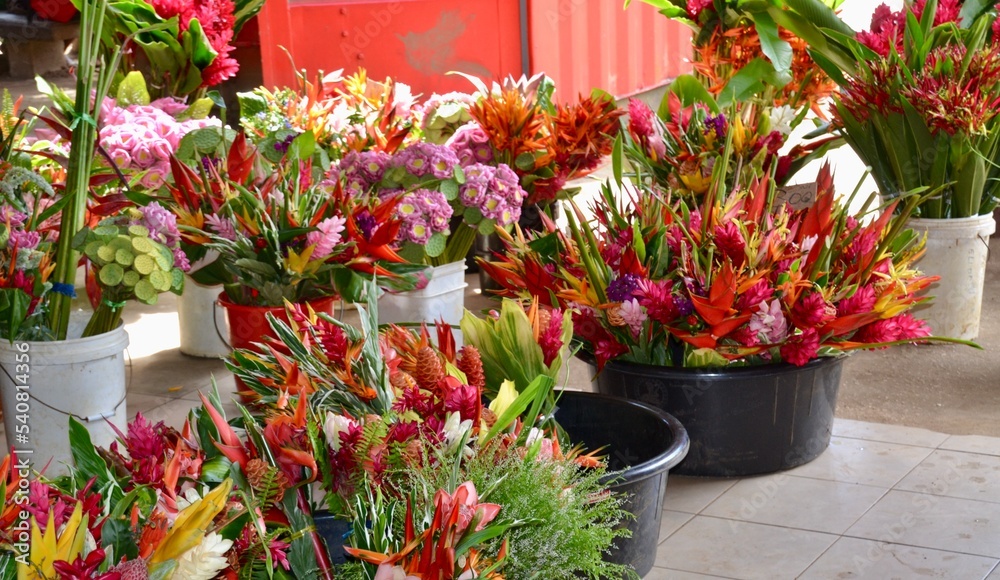 Tropical flowers in pots at local market in Vanuatu
