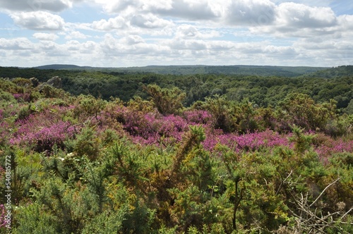 Landes de Liscuis at Bon Repos sur Blavet in Brittany