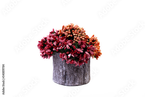 wooden vase with red and white flowers with reflection, white background isolated,