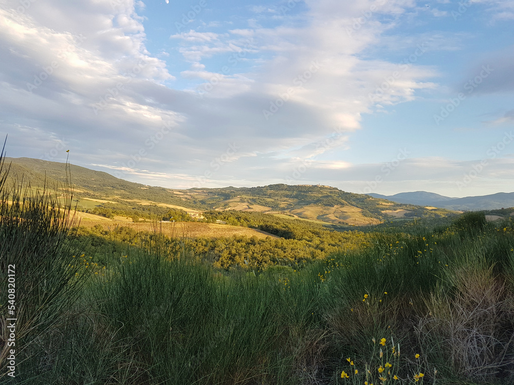 Typical Tuscan landscape on a sunny summer day, Tuscany, Italy. Typical Tuscan landscape on a sunny summer day, Tuscany, Italy.