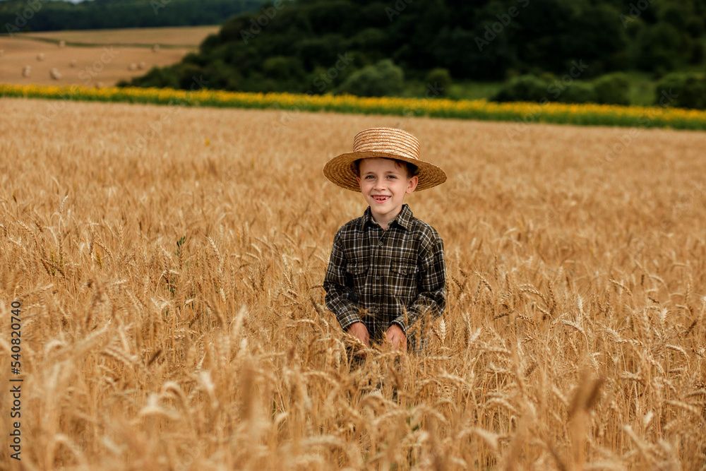 A smiling little farmer boy in a plaid shirt and straw hat poses for a photo in a wheat field. Heir of farmers