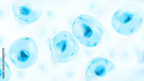 Embryonic stem cell. Human cell. 3d illustration.