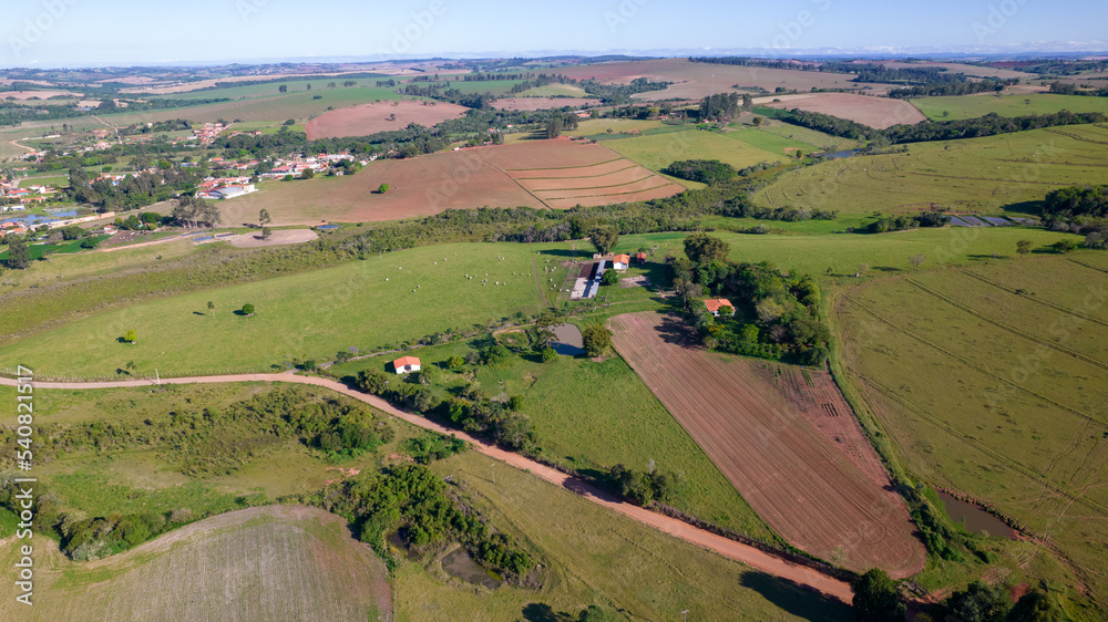 soybean plantation in Brazil. Green field with grown soybeans. Aerial view