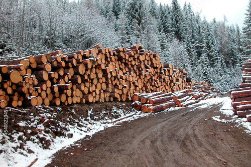 Outdoor wood storage in winter