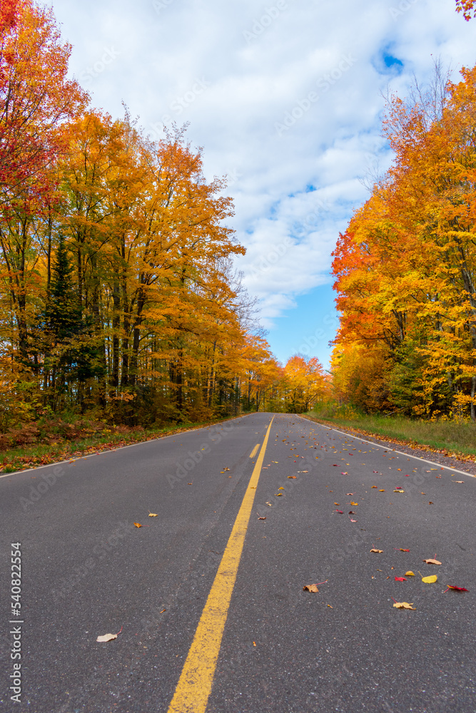 Beautiful open country road in autumn