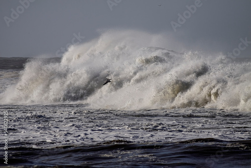 Detailed stormy breaking wave
