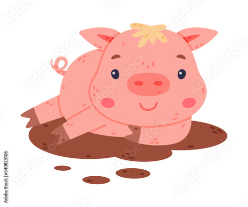 Funny Pink Piggy Character with Hoof Lying in Mud Vector Illustration