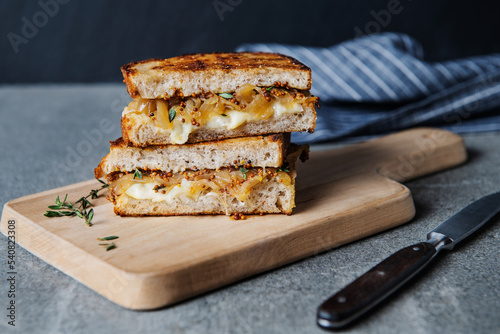 Gourmet grilled cheese sandwich with caramelized onions photo