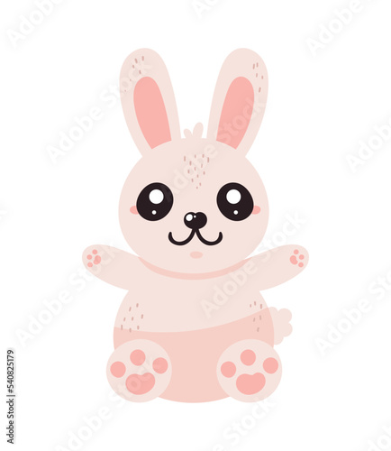 cute rabbit kawaii