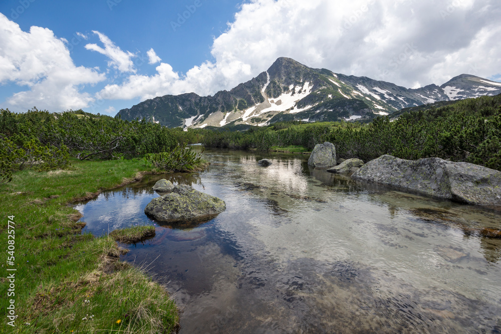 Summer view of Pirin Mountain near Popovo Lake, Bulgaria