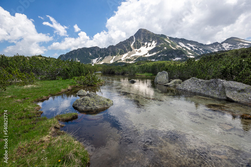 Summer view of Pirin Mountain near Popovo Lake, Bulgaria