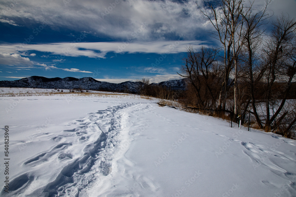 Numerous foot prints on snow covered field with mountains and blue sky with cirrus clouds Numerous foot prints on snow covered field with mountains and blue sky with cirrus clouds