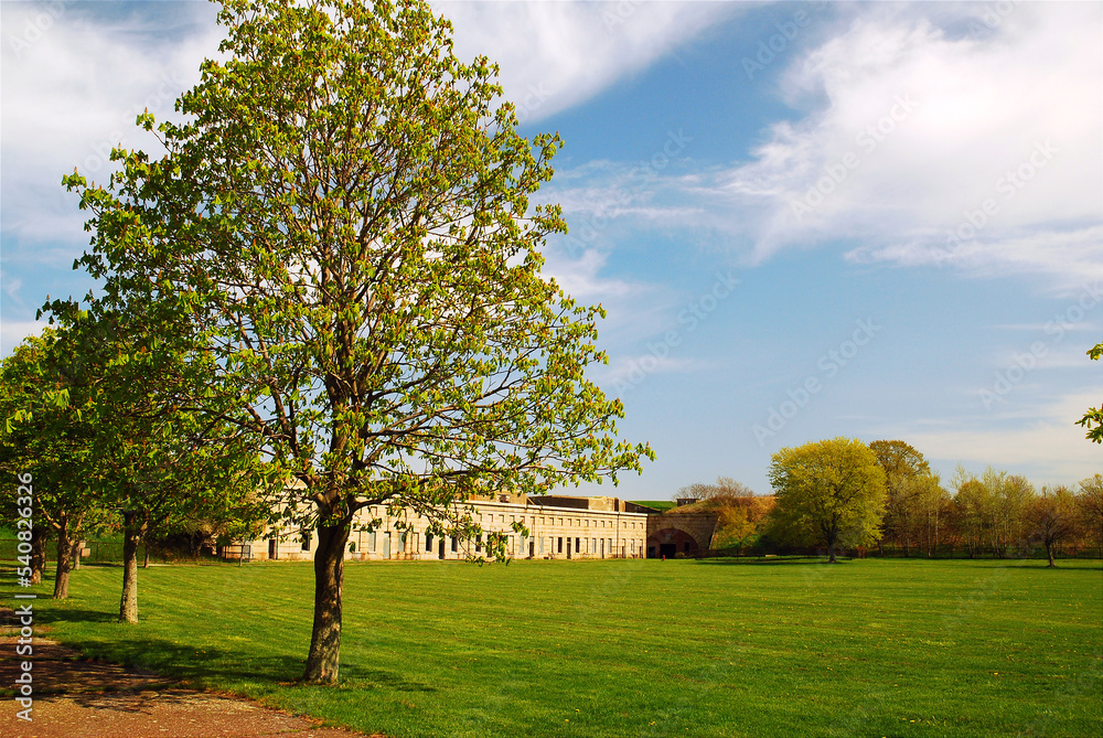 A tree grows in the parade grounds of Fort Warren, a Revolutionary Era fortress and military installation in the Boston Harbor Islands