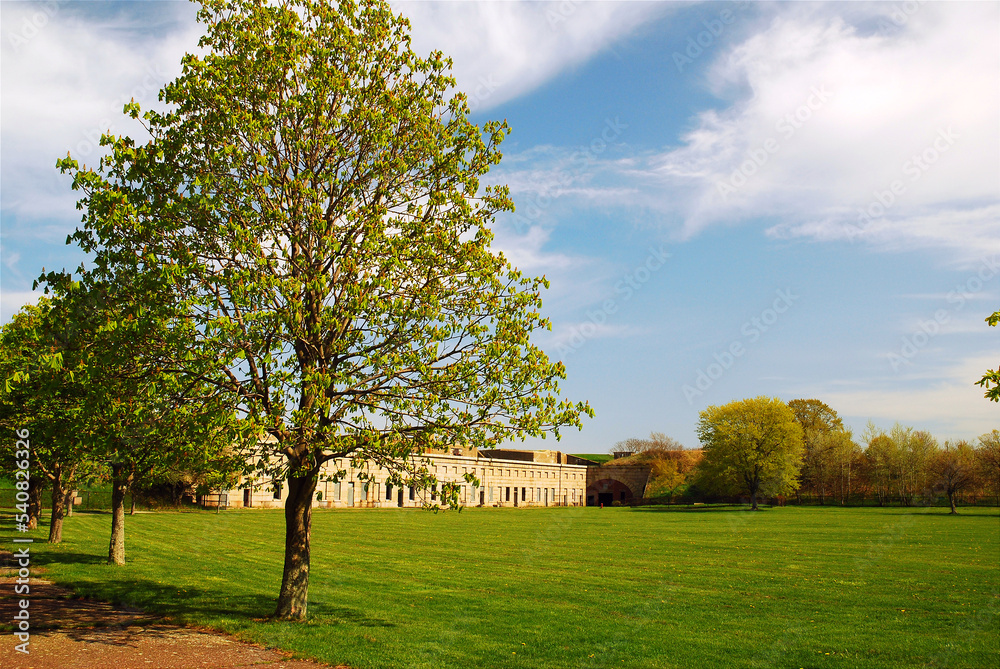 A tree grows in the parade grounds of Fort Warren, a Revolutionary Era fortress and military installation in the Boston Harbor Islands A tree grows in the parade grounds of Fort Warren, a Revolutionary Era fortress and military installation in the Boston Harbor Islands