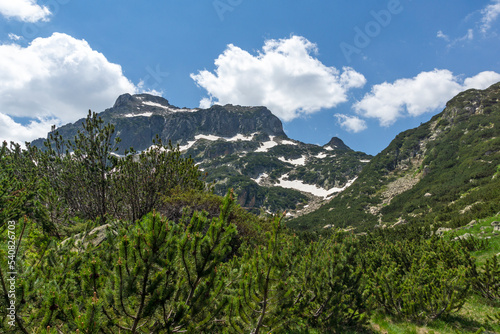 Summer view of Pirin Mountain near Popovo Lake, Bulgaria