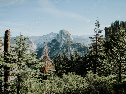 Yosemite National Park landscape with trees and clouds