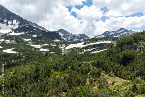 Summer view of Pirin Mountain near Popovo Lake, Bulgaria