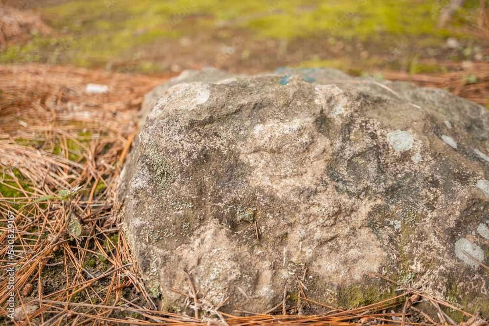 Texture and background of surface stone. The photo is suitable to use for nature background and poster. Texture and background of surface stone. The photo is suitable to use for nature background and poster.