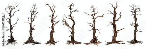 spooky trees, leafless dead wood, isolated on white background