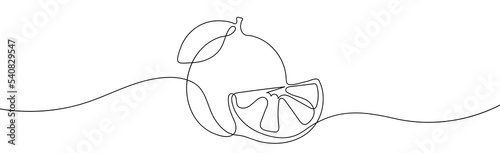 Orange Line Art Drawing. Continuous Line Drawing of Orange . Vector illustration