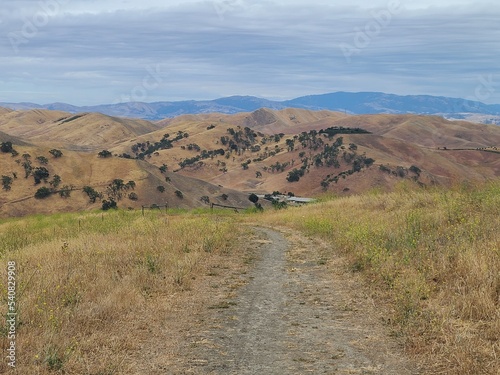 Summer gives the Landscape of the Northern California it's typical golden look