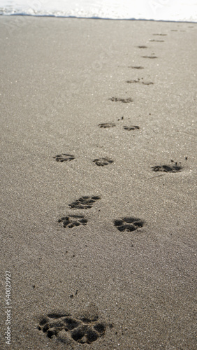 footprints on the beach