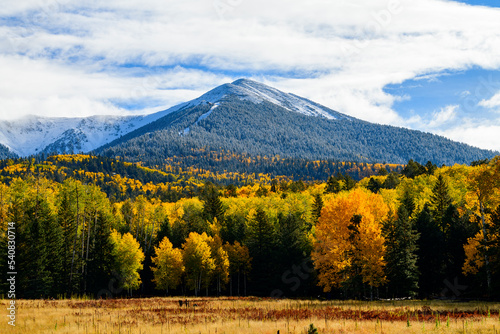 Fall Colors in Flagstaff, Arizona.