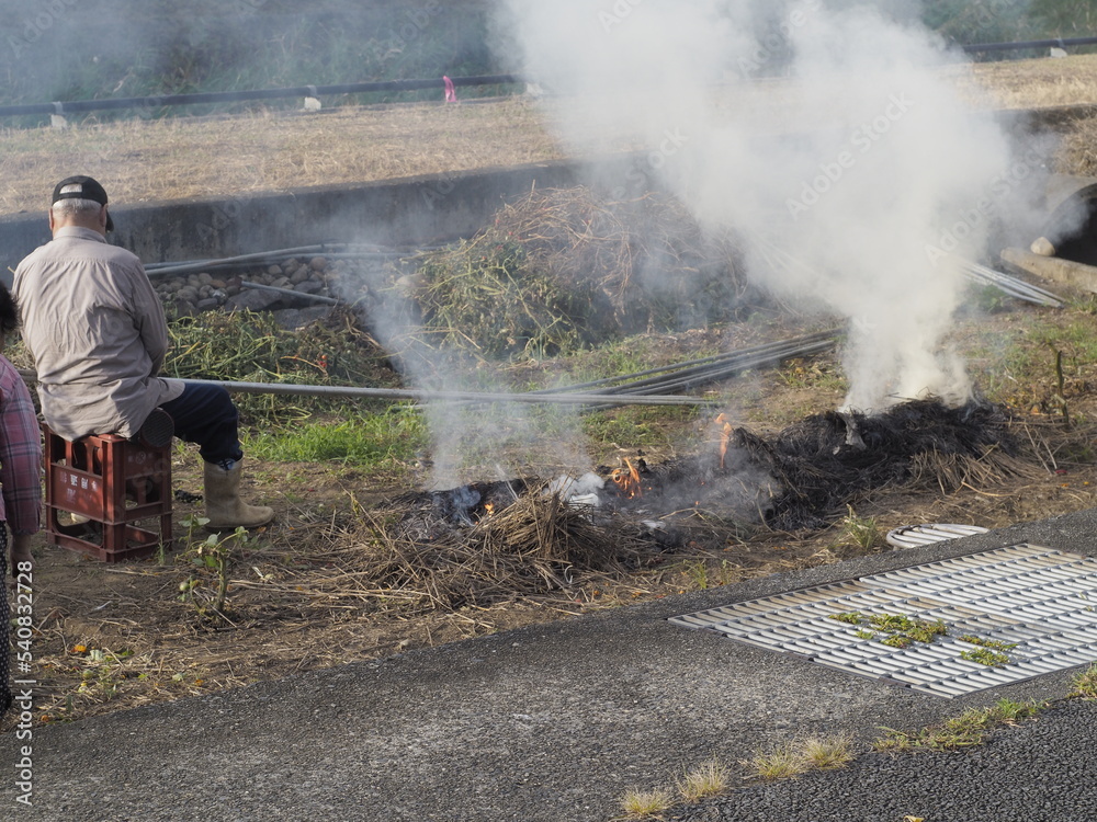 Obraz premium 道端で草を燃す老人