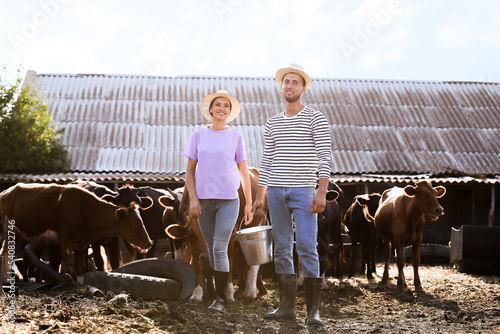 Young farmers working in paddock with cows outdoors photo