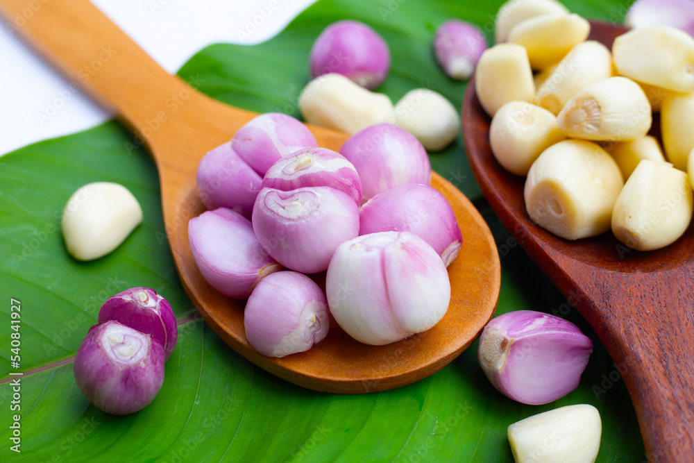Fresh garlic with shallot on green leaf Fresh garlic with shallot on green leaf