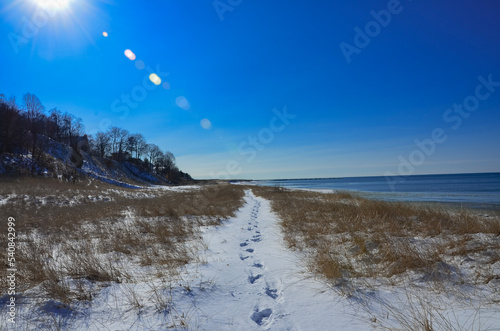 winter landscape with snow
