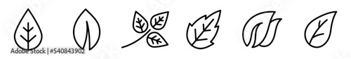 Conjunto de iconos de hoja de plantas. Hoja de árbol. Ilustración vectorial