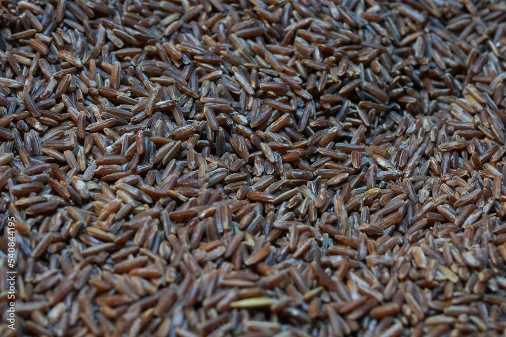 Brown rice, red glutinous rice, uncooked