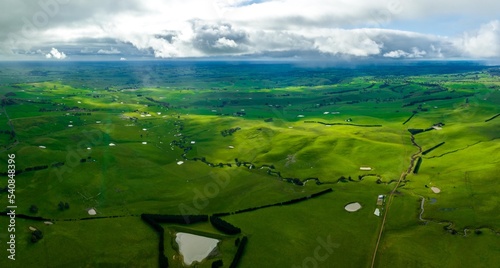 Sustainable agriculture business, cows grazing on a green meadow, regenerative agricultural farm with cattle. Livestock on a ranch.