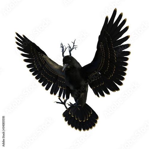 BLACK BIRD KING WINGS OPEN 