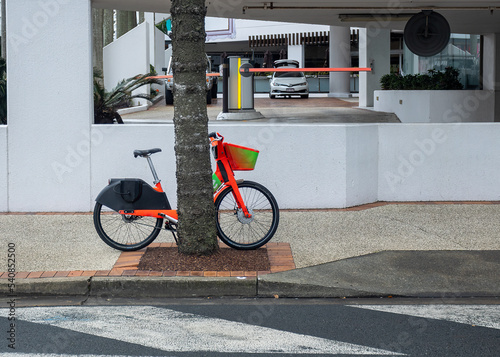 Bicycle leaning against palm tree in the city