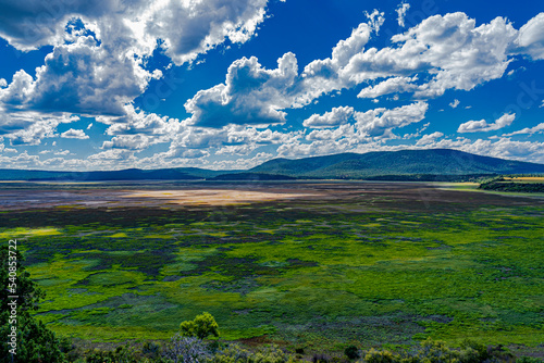 Mormon Lake is pretty dry this year