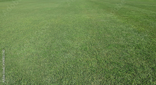 Grass replacement for realestate images or a background