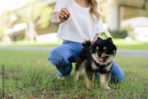 Happy young asian woman playing and sitting on grass in the park with her dog. Pet lover concept