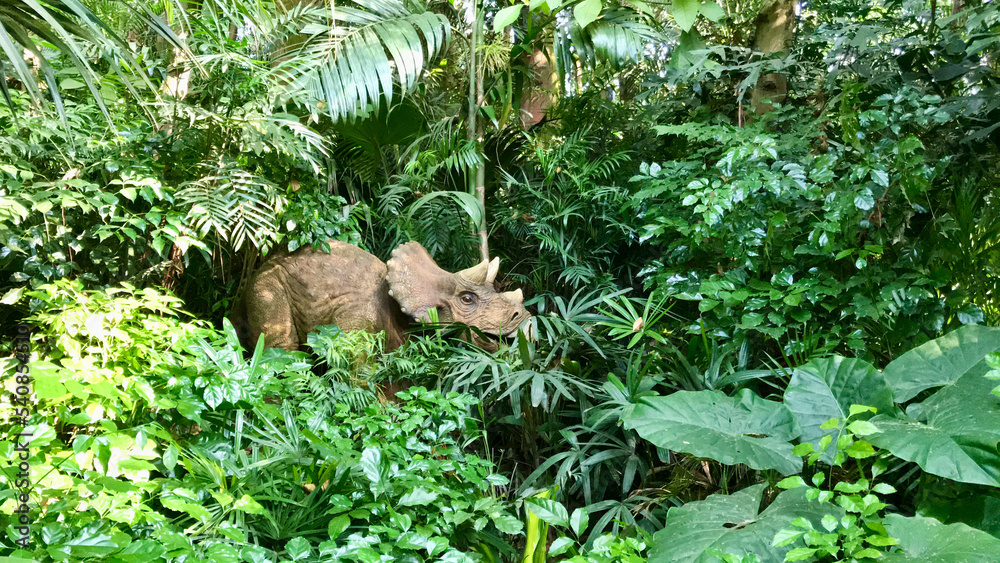 Obraz premium Guangzhou, China, November 2016 - A bear that is standing on a lush green forest