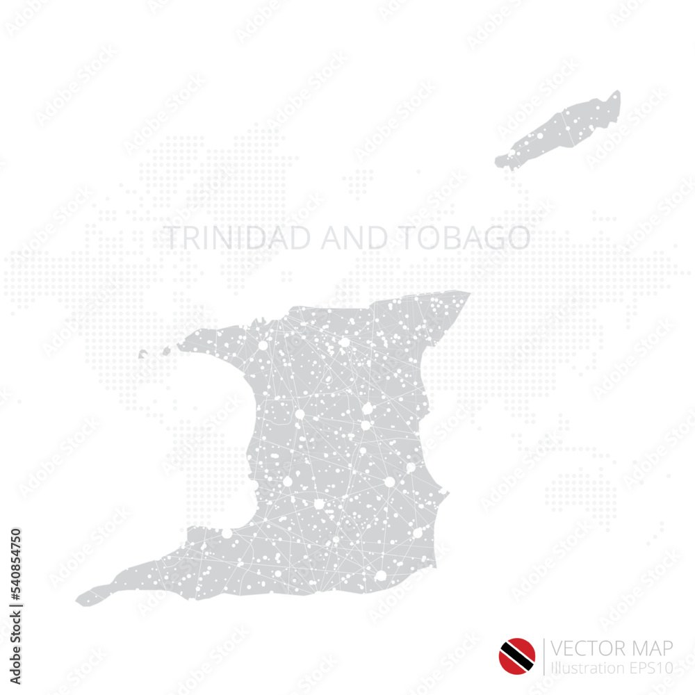 Trinidad and Tobago grey map isolated on white background with abstract mesh line and point scales. Vector illustration eps 10