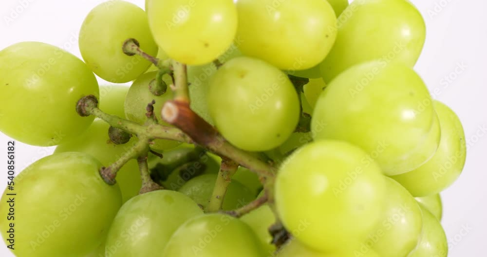Close-up front view turning, Bunch of green grapes
on a white background. Close-up front view turning, Bunch of green grapes
on a white background.