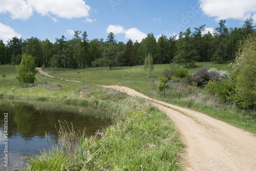 Spring, bright landscape. The dirt road goes around the picturesque lake and goes into the green forest. Sunny and blue sky with white clouds. The trees have bright green foliage.