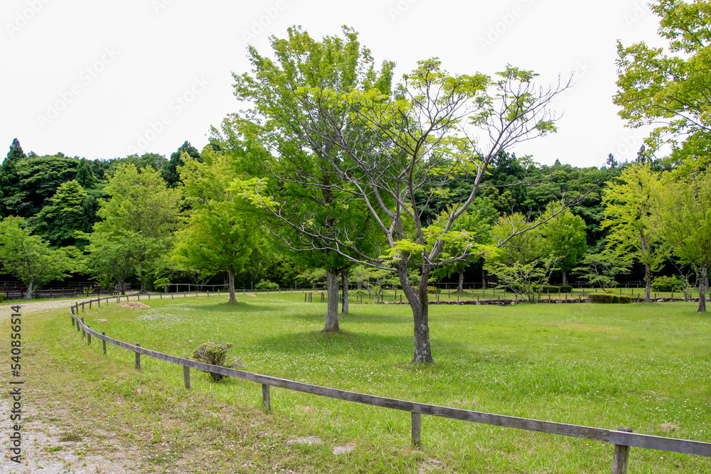 両ヶ池公園