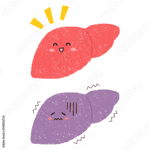 手描きの健康な肝臓と不健康な肝臓のセット　PNG photo