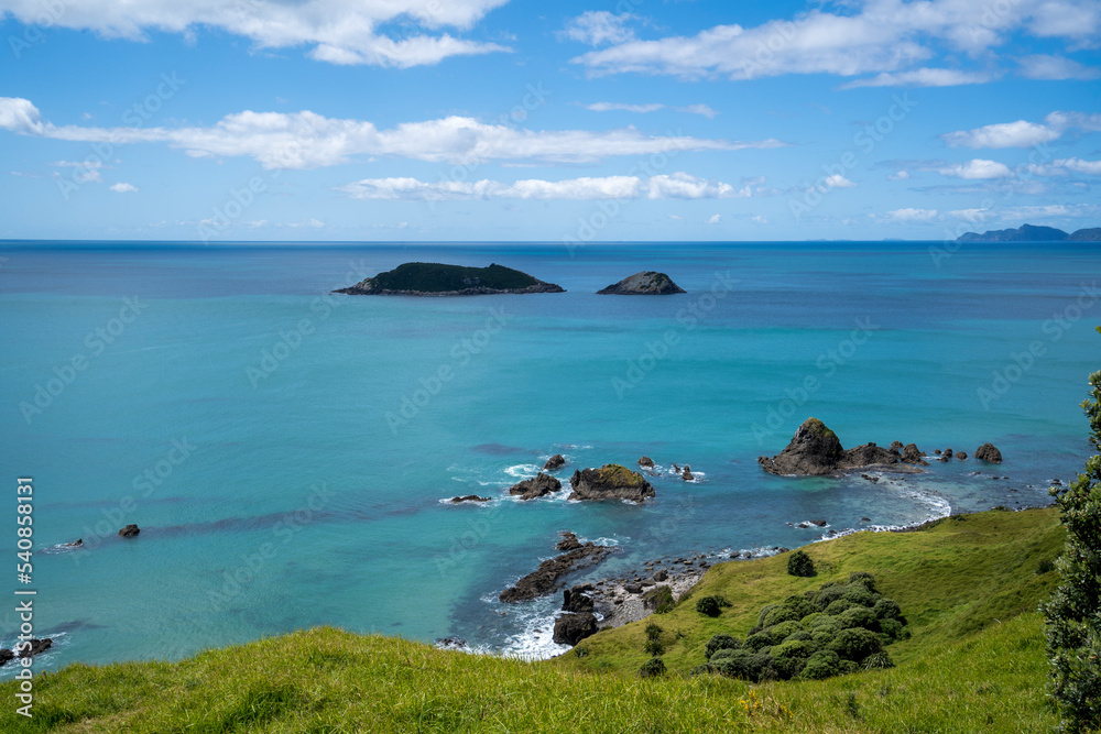 Fototapeta premium Ocean Beach Walk New Zealand