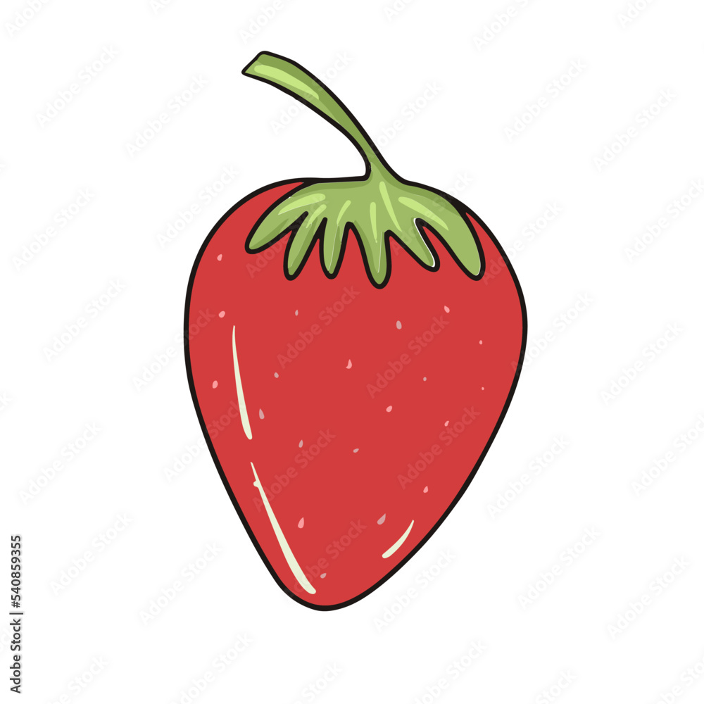 Fototapeta premium Vector drawn doodle strawberry. Element for design.
