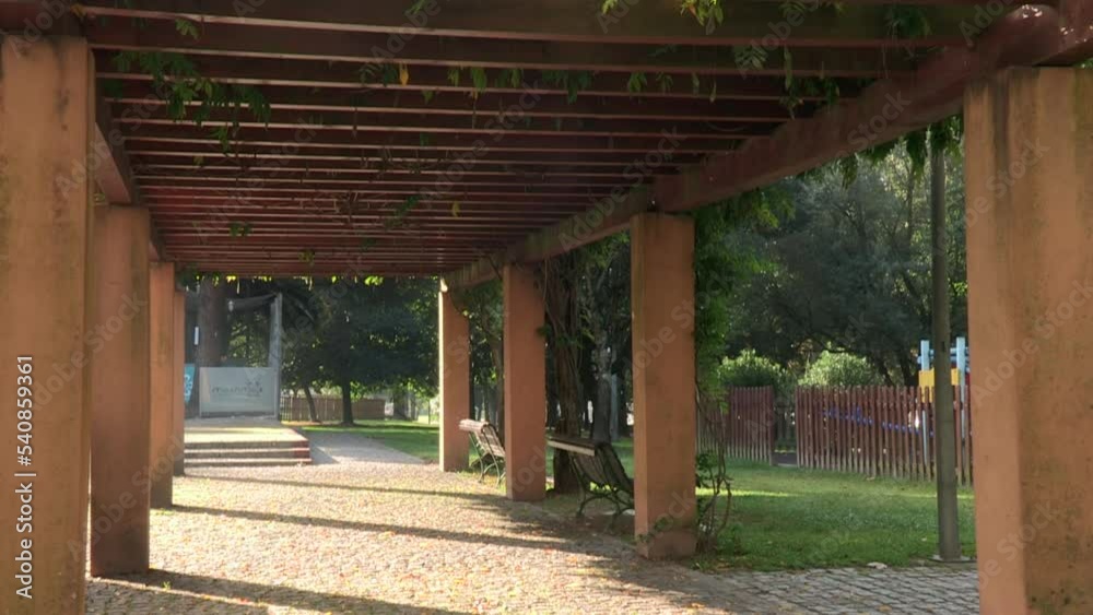 Wooden pergola covered with plants in a city garden Wooden pergola covered with plants in a city garden