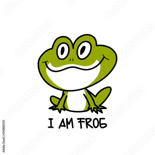 Cute frog icon character mascot logo vector illustration.